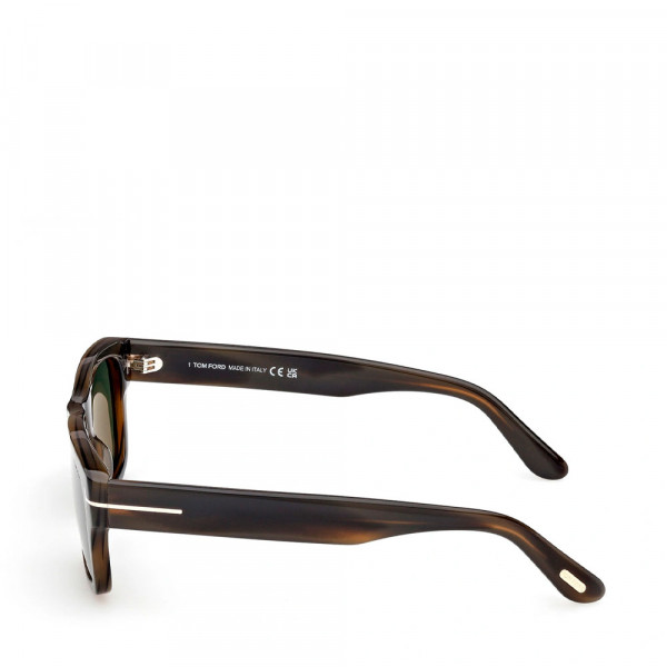sunglasses-ft1303