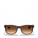 andy-sunglasses-0rb4202