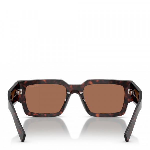 lunettes-de-soleil-root-0pr-b17s