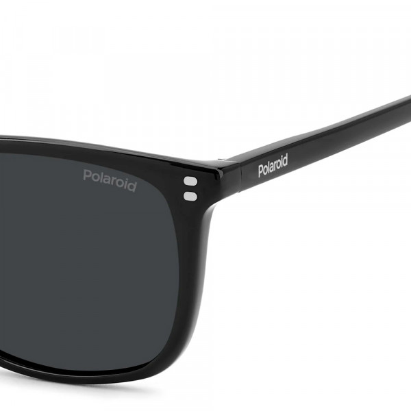 sunglasses-pld-4202-s-x