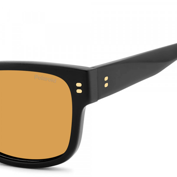lunettes-de-soleil-pld-6252-s-x