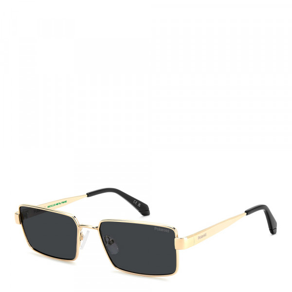 sunglasses-pld-6255-s-x