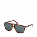 Lunettes de soleil Brianna FT1338