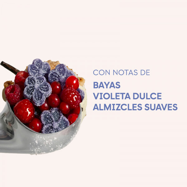 yummy-flowers-violette-sugar