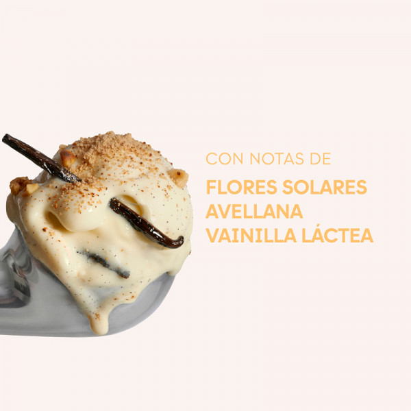 yummy-flowers-vanilla-cotta