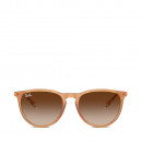 oculos-de-sol-erika-classic-rb4171