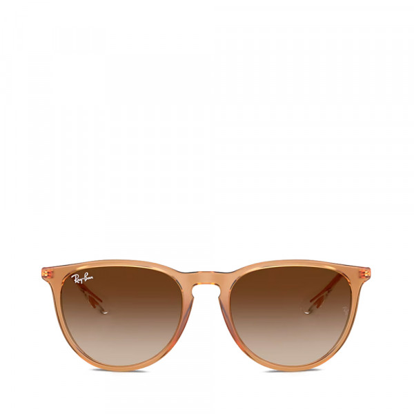 rb4171-erika-classic-sonnenbrille