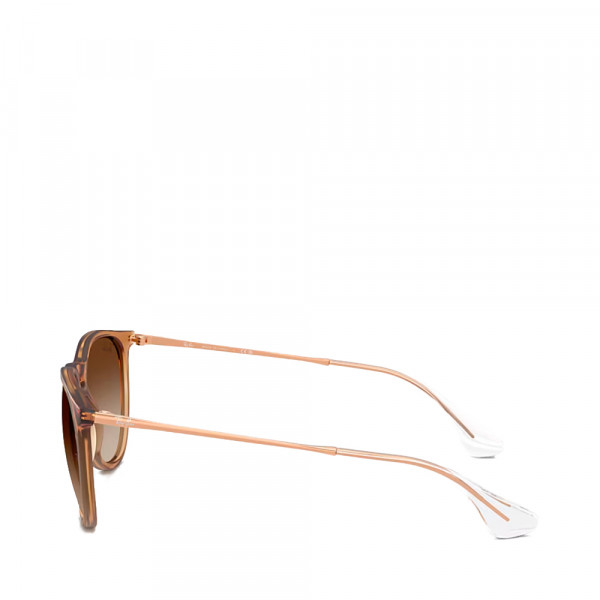 rb4171-erika-classic-sonnenbrille