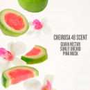 cheirosa-48