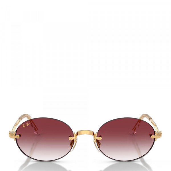 sonnenbrille-rb3929-von-aap-rocky