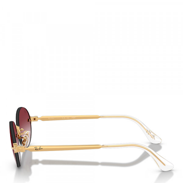 occhiali-da-sole-rb3929-di-aap-rocky