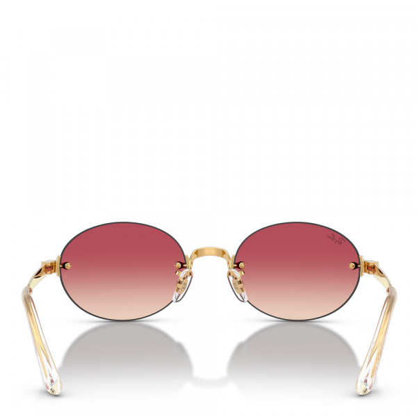 occhiali-da-sole-rb3929-di-aap-rocky