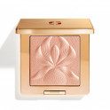 L'Orchid&eacute;e Highlighter
Lysende puddergel