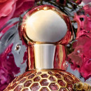 aqua-allegoria-rosa-rossa-forte