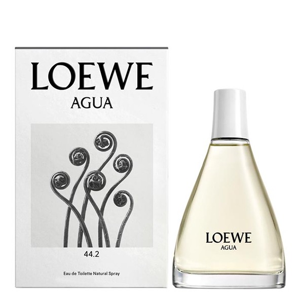 loewe parfums