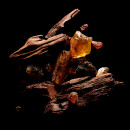 sacred-wood