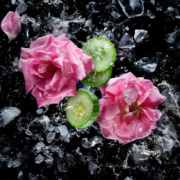 roses-on-ice