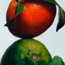 lime-basil-mandarin-cologne