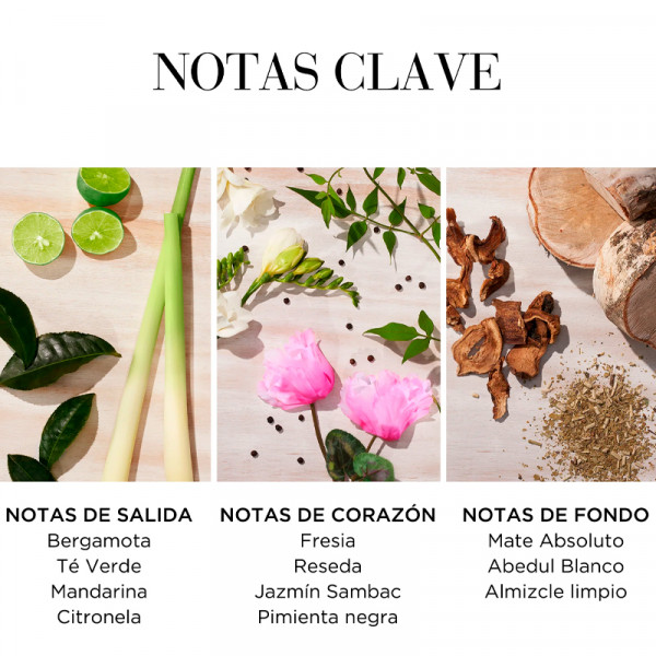 green-tea-citron-freesia-honey-drops-body-cream-aterfuktande-kroppskram