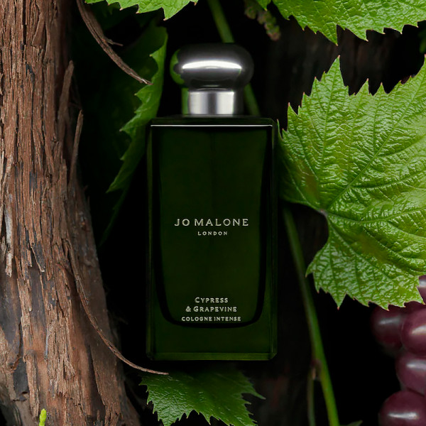 cypress-grapevine-cologne-intense