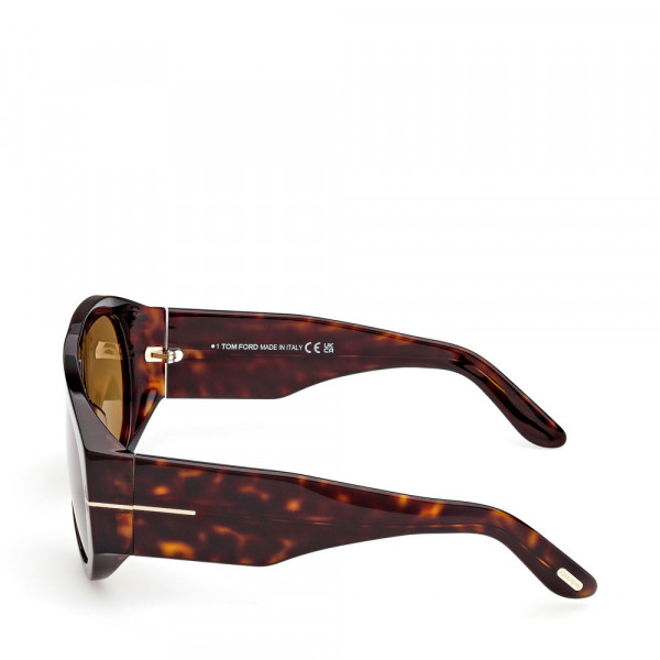 sunglasses-ft1044