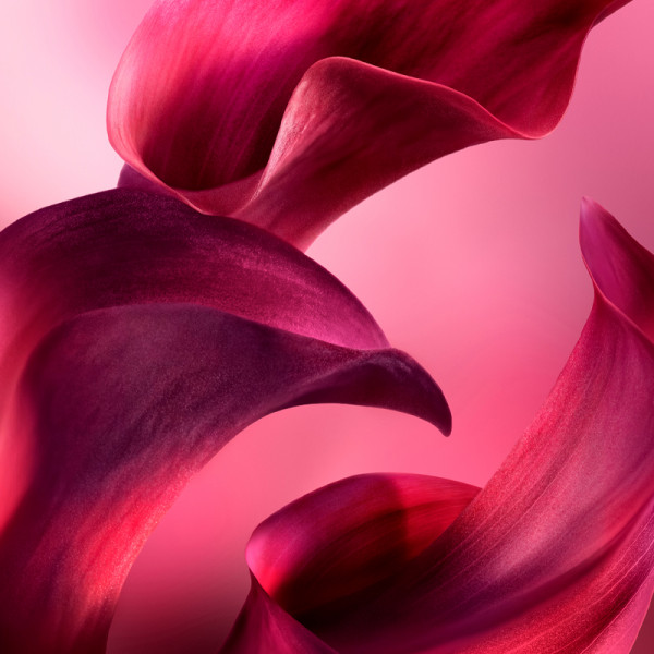 la-vie-est-belle-l-elixir-very-cherry