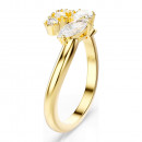 anello-aperto-mesmera