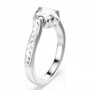 chroma-ring