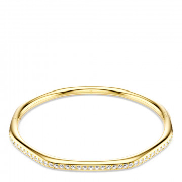 brazalete-dextera