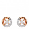 Boucles d'oreilles &agrave; clous Dextera