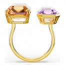 anello-aperto-del-millennio