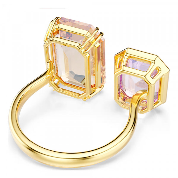 anello-aperto-del-millennio
