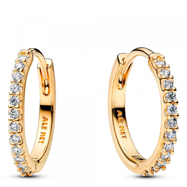 boucles-d-oreilles-creoles-miniatures-scintillantes-264649c01