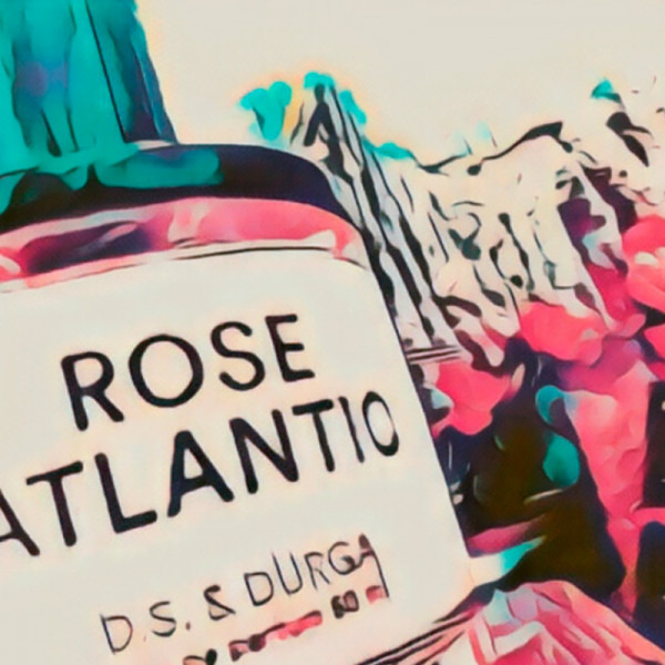 rose-atlantic