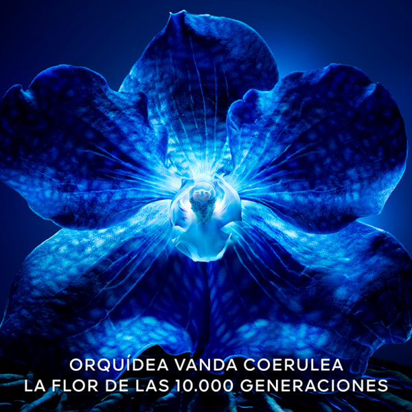 orchidee-imperiale-koncentratet-for-lang-livslangd
