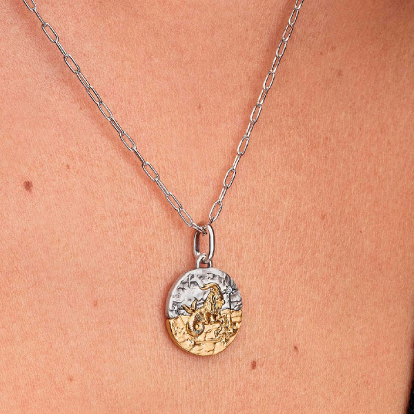 charm-medallon-zodiaco-capricornio-764987c01