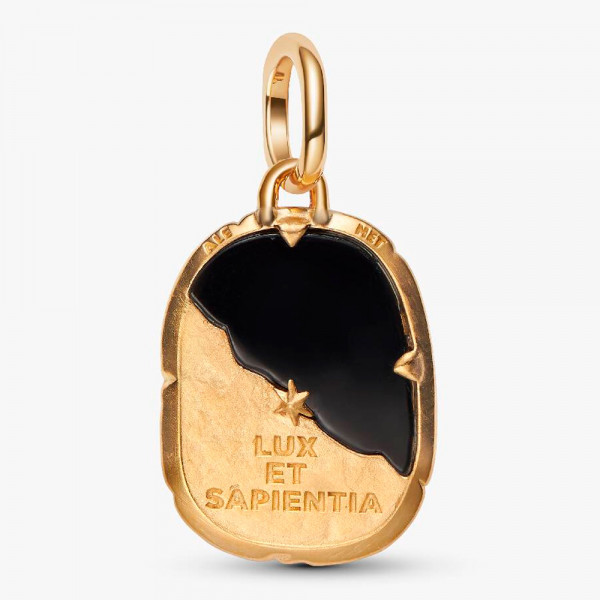 owl-medallion-charm-764805c01