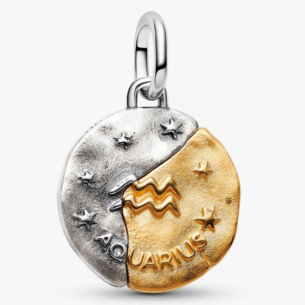 aquarius-zodiac-medallion-charm-764990c01