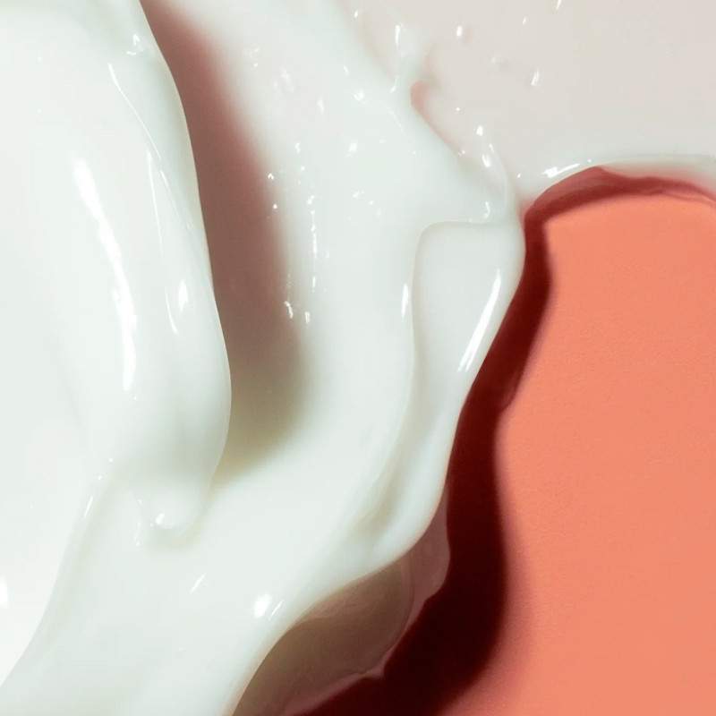 Haruharu Wonder Phyto & 5 Peptide Concentrate Cream Crema Facial Concentrada Acción Antiedad – imagen 4