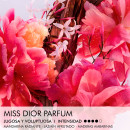 miss-dior-parfum-roller-pearl-blomsteragtige-frugtagtige-og-traeagtige-noter