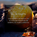 sauvage-eau-de-toilette
