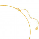 collana-con-gemme-5741584
