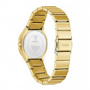 montre-jacqueline-gw1110l2