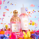 aqua-allegoria-florabloom
