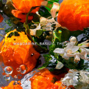 aqua-allegoria-mandarine-basilic-forte-eau-de-parfum-estuche