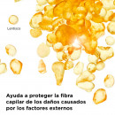 l-elixir-huile-lumiere-lysnende-harolie
