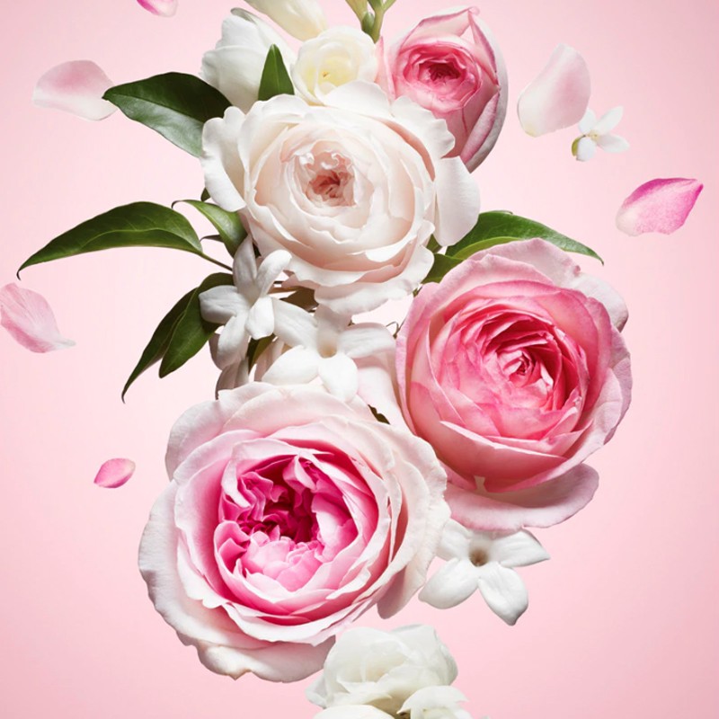 Perfume mujer viktor & rolf flowerbomb edp 100 ml flowerbomb – imagen 2