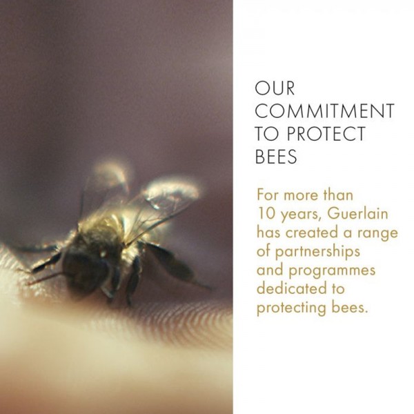 Abeille Royale Cleansing Oil Anti-Pollution