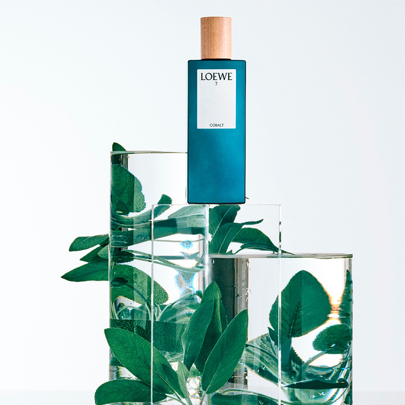 7 Cobalt - Loewe - Sabina