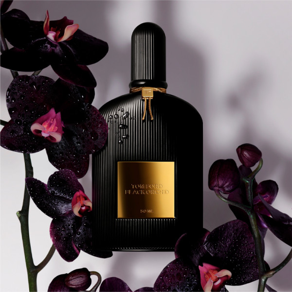 Black Orchid - Sabina